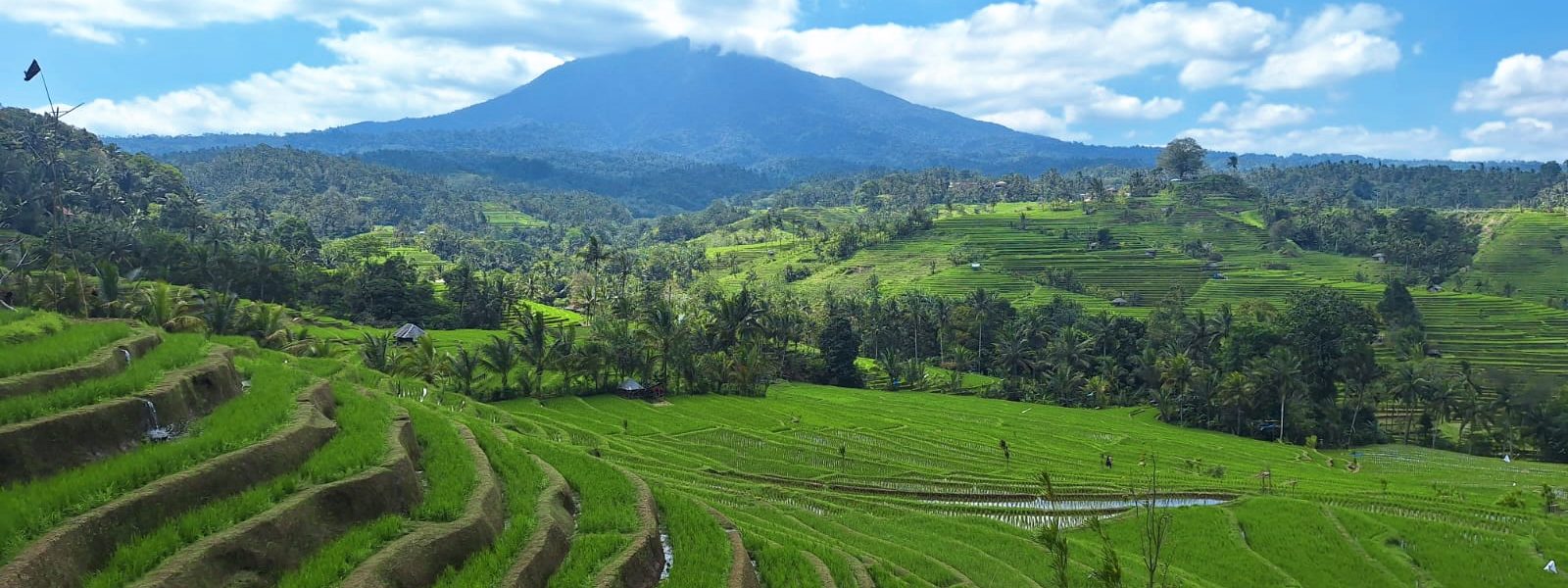 Kintamani Bali