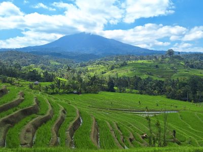 Kintamani Bali