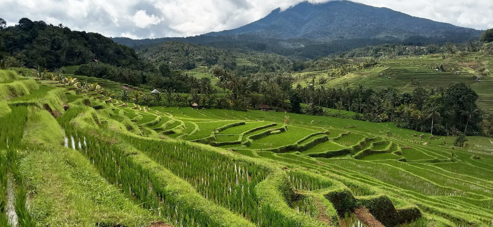 Bali tour packages